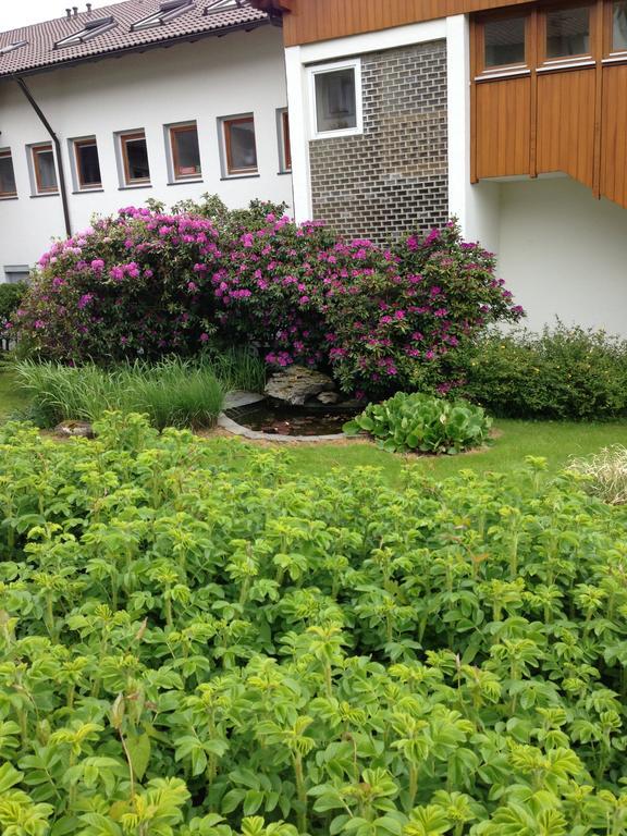 Sapia Hotel St. Fridolin باد ساكنغن المظهر الخارجي الصورة